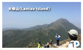 こんなメンバーです