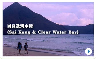 楽しく活動しています。