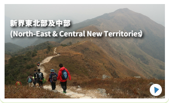 あなたも参加しませんか？