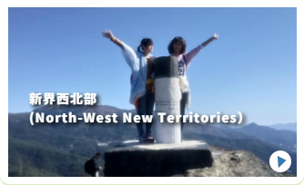 こんなメンバーです