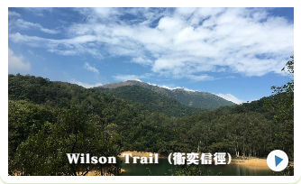 こんなメンバーです