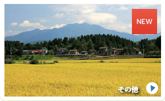 楽しく活動しています。