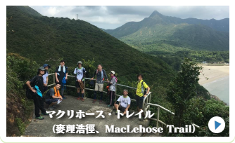 楽しく活動しています。